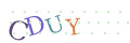 CAPTCHA 2