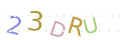 CAPTCHA 2