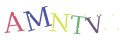 CAPTCHA 2