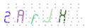 CAPTCHA 2