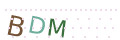 CAPTCHA 2