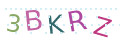 CAPTCHA 2