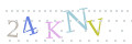 CAPTCHA 2