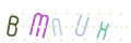 CAPTCHA 2