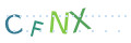 CAPTCHA 2