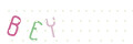 CAPTCHA 2