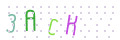 CAPTCHA 2