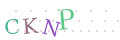 CAPTCHA 2