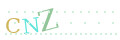 CAPTCHA 2