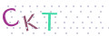 CAPTCHA 2