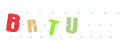 CAPTCHA 2