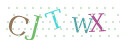 CAPTCHA 2