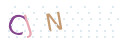 CAPTCHA 2