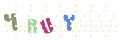 CAPTCHA 3