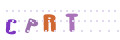 CAPTCHA 3