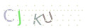 CAPTCHA 4