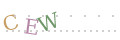 CAPTCHA 4