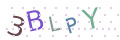 CAPTCHA 4