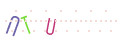 CAPTCHA 4