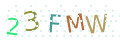 CAPTCHA 4