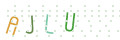 CAPTCHA 4