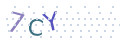 CAPTCHA 4