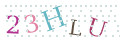 CAPTCHA 4