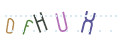 CAPTCHA 4