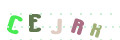 CAPTCHA 4