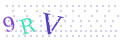 CAPTCHA 4