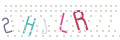 CAPTCHA 4