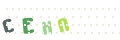 CAPTCHA 4