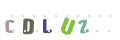 CAPTCHA 4