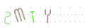 CAPTCHA 4