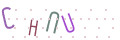 CAPTCHA 4