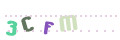 CAPTCHA 4