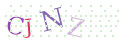 CAPTCHA 4