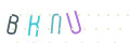 CAPTCHA 4