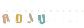 CAPTCHA 5