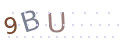 CAPTCHA 5
