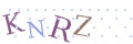 CAPTCHA 5