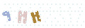 CAPTCHA 5
