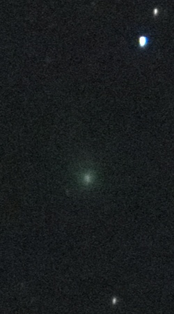 Comet C/2013 R1 Lovejoy taken with Canon SX50 HS