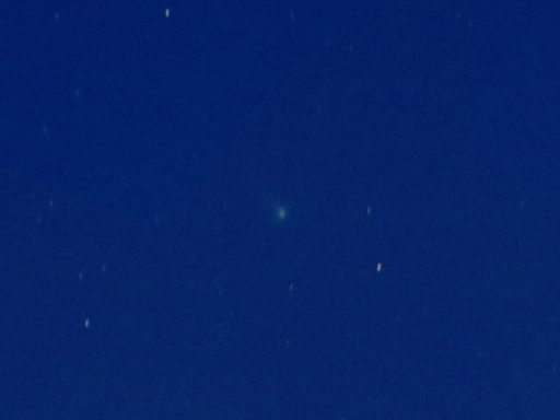 Comet C/2013 R1 Lovejoy taken with SX50 HS