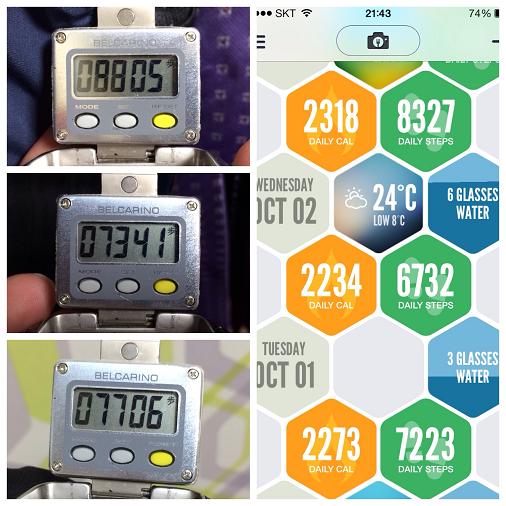Comparing iPhone 5S's logs with a standalone pedometer